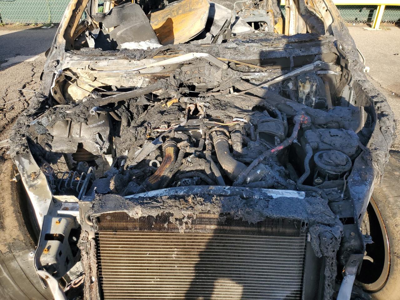 Фото: 5UXFG8C5XCL590205