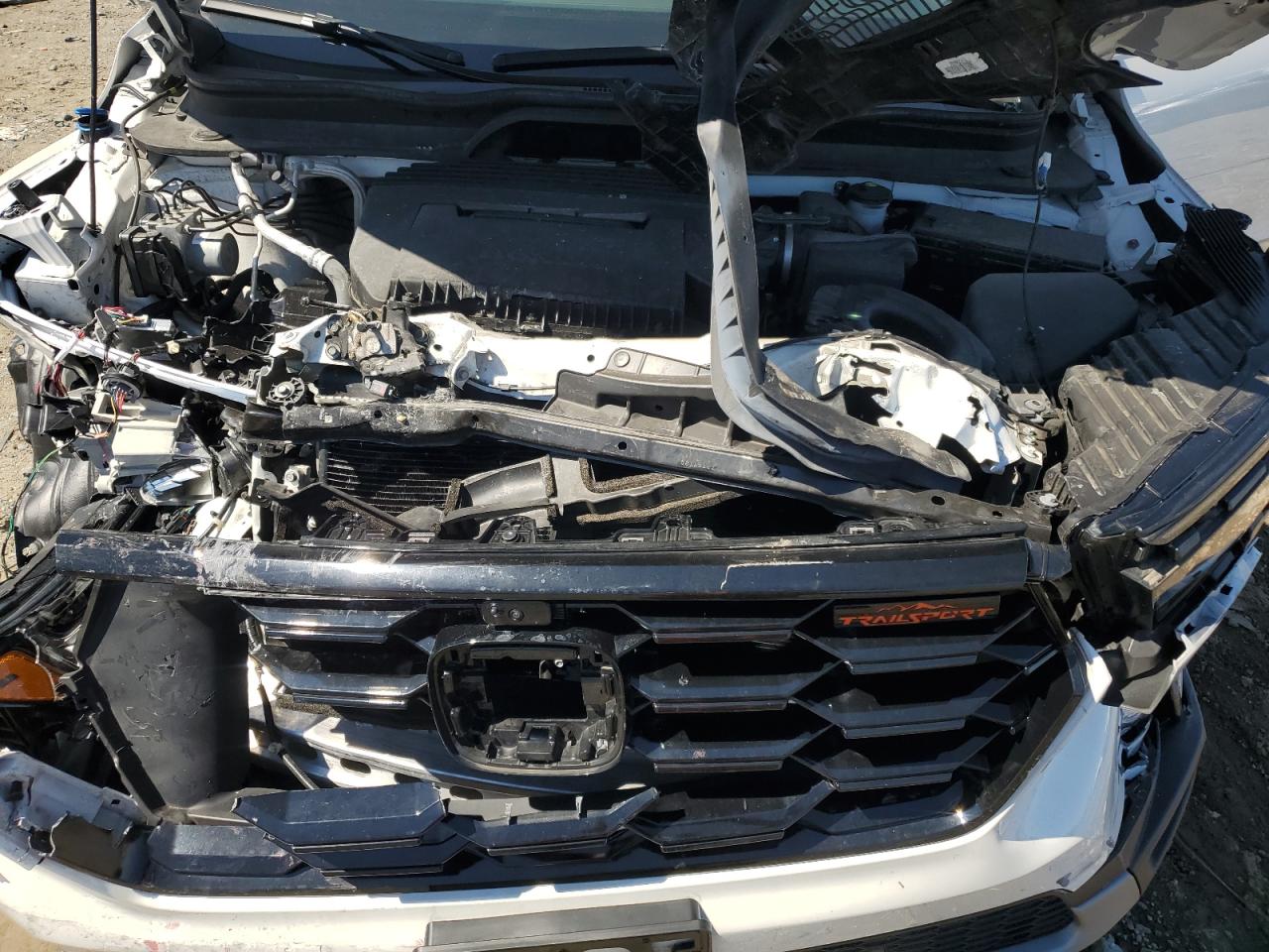 2023 Honda Pilot Trailsport VIN: 5FNYG1H68PB048872 Lot: 71953785