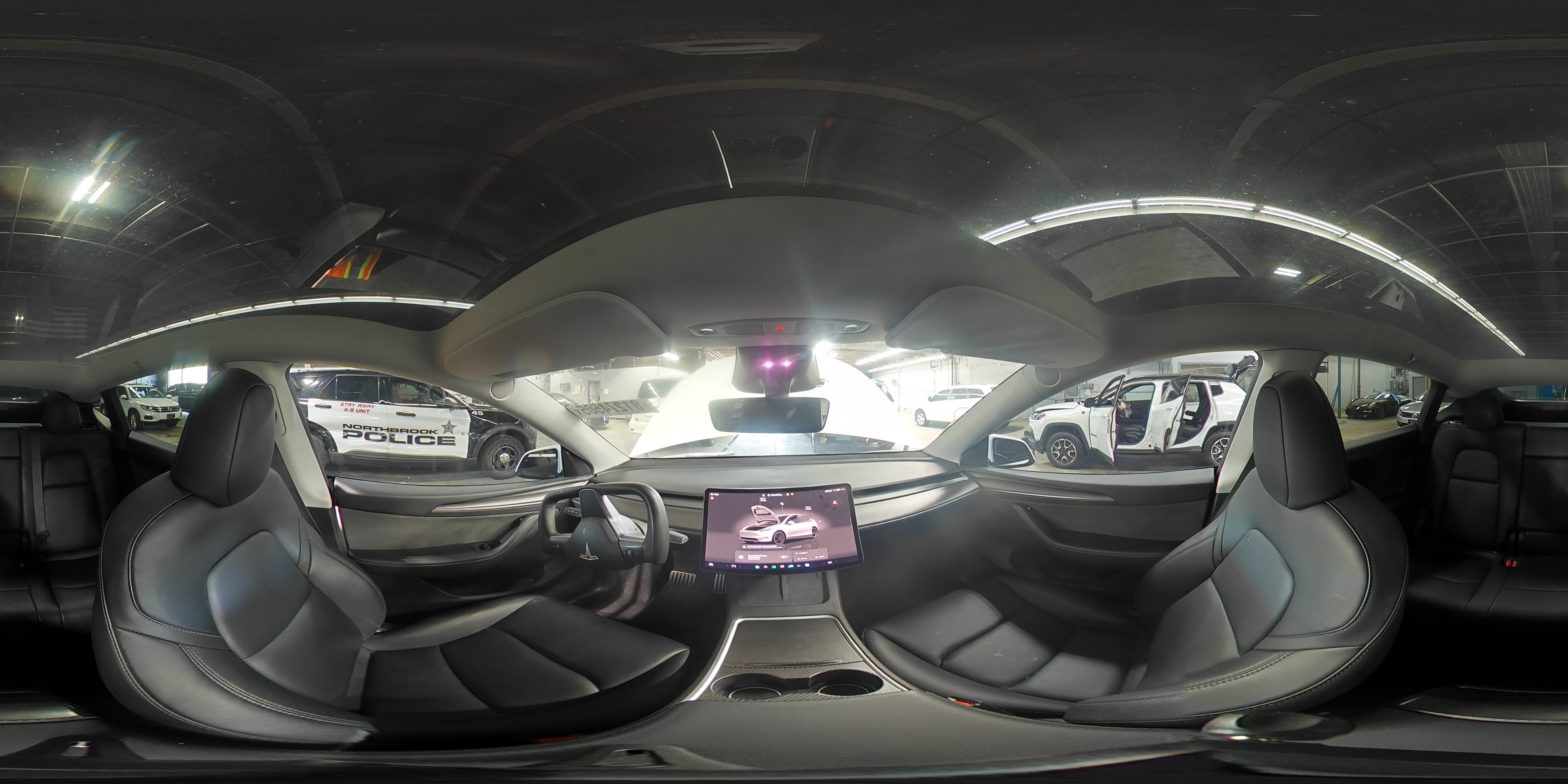 2023 Tesla Model Y VIN: 7SAYGDEF5PF807728 Lot: 81274505