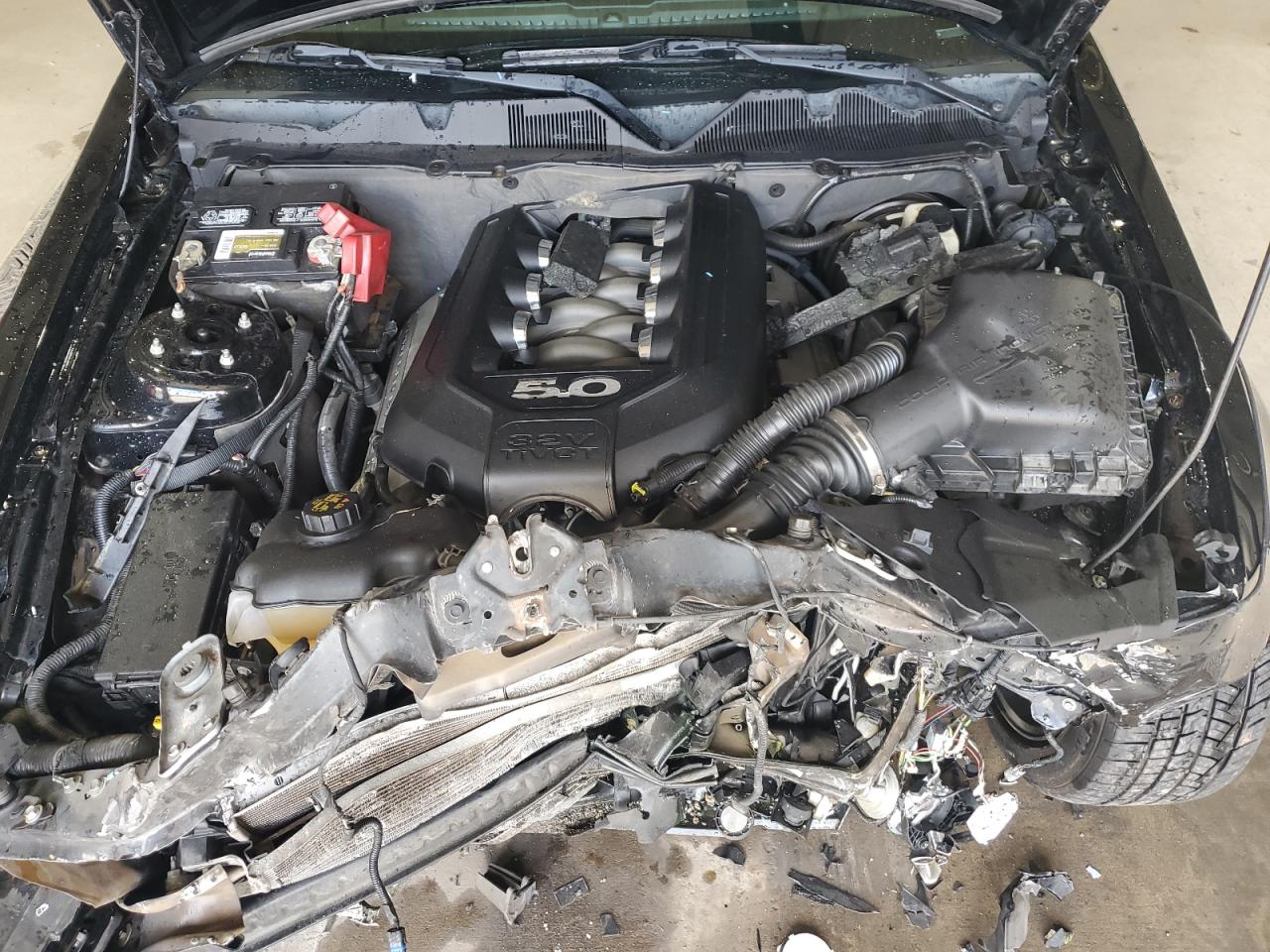 2013 Ford Mustang Gt VIN: 1ZVBP8CF5D5215043 Lot: 80959125