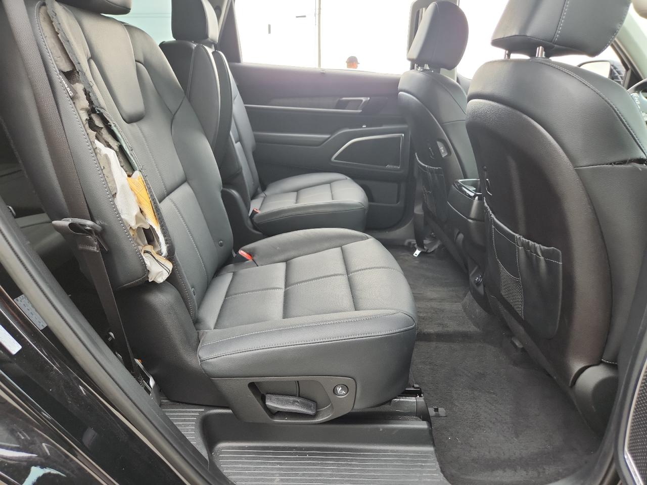2024 Kia Telluride Sx VIN: 5XYP5DGC4RG518725 Lot: 71271285