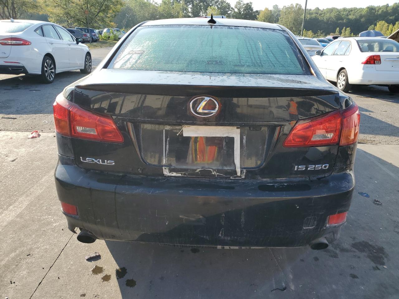 2007 Lexus Is 250 VIN: JTHBK262375038499 Lot: 81053095