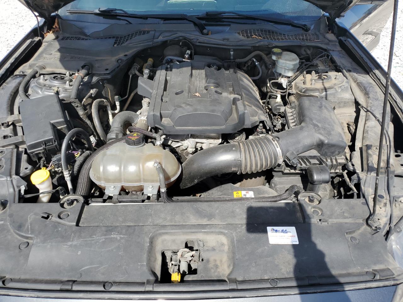 2017 Ford Mustang VIN: 1FA6P8TH8H5265226 Lot: 81124685