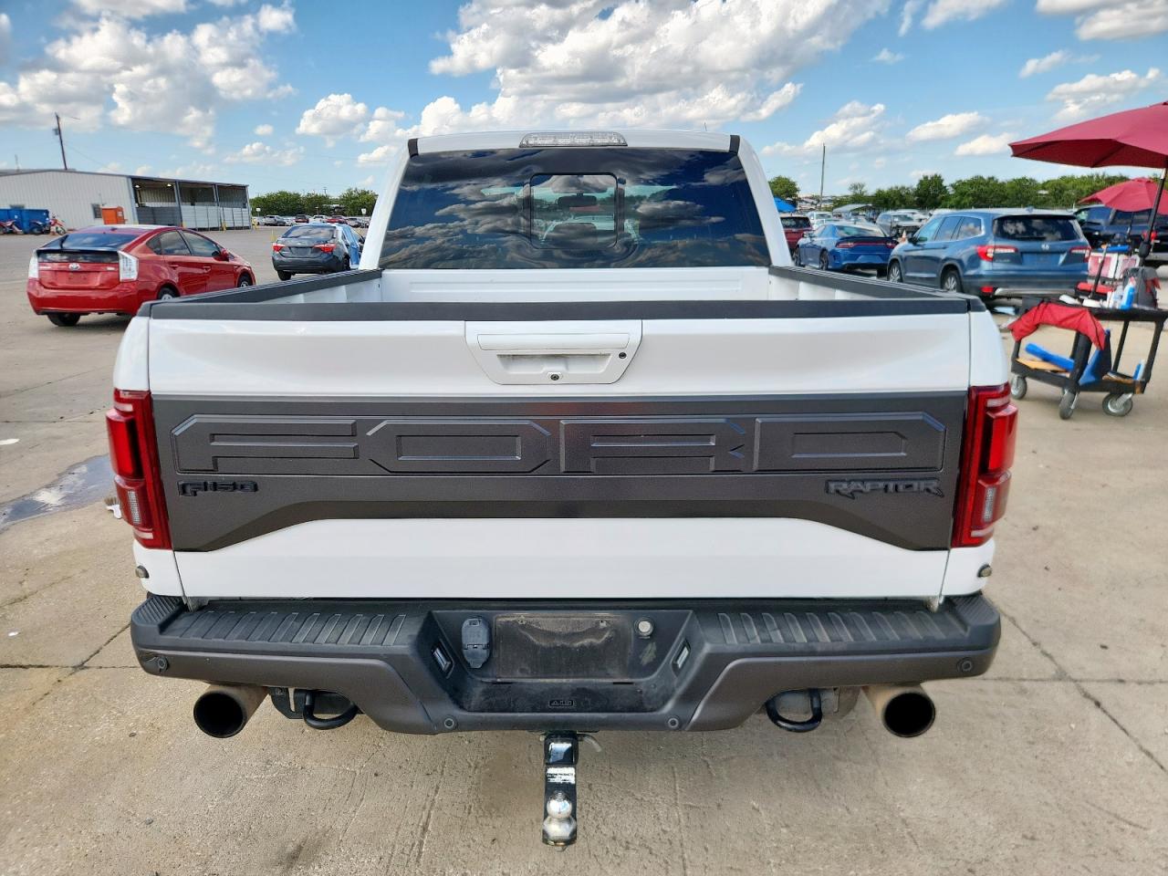 2017 Ford F150 Raptor VIN: 1FTFW1RG8HFC13172 Lot: 81556625