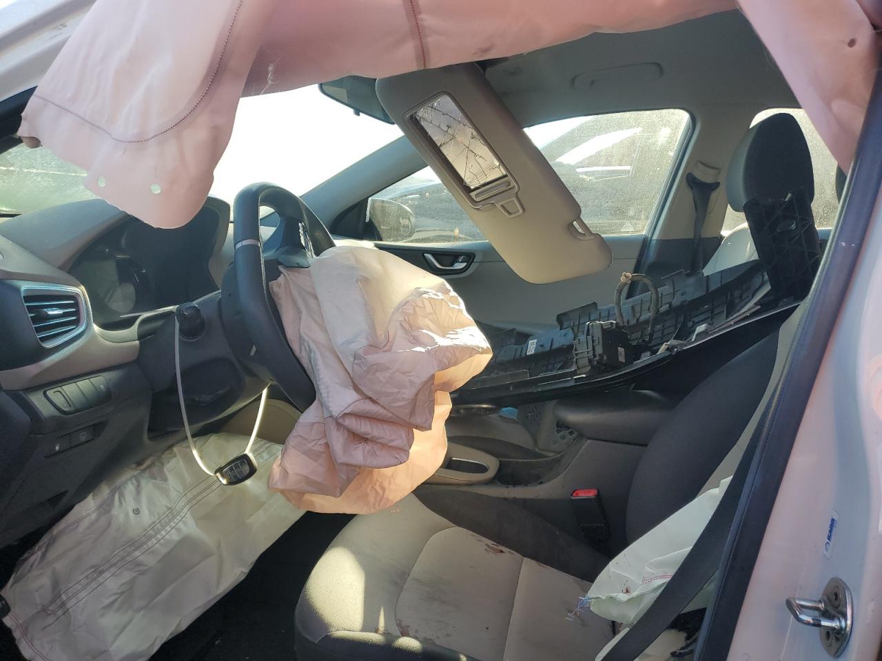 2019 Hyundai Ioniq Blue VIN: KMHC65LC4KU122317 Lot: 81917795