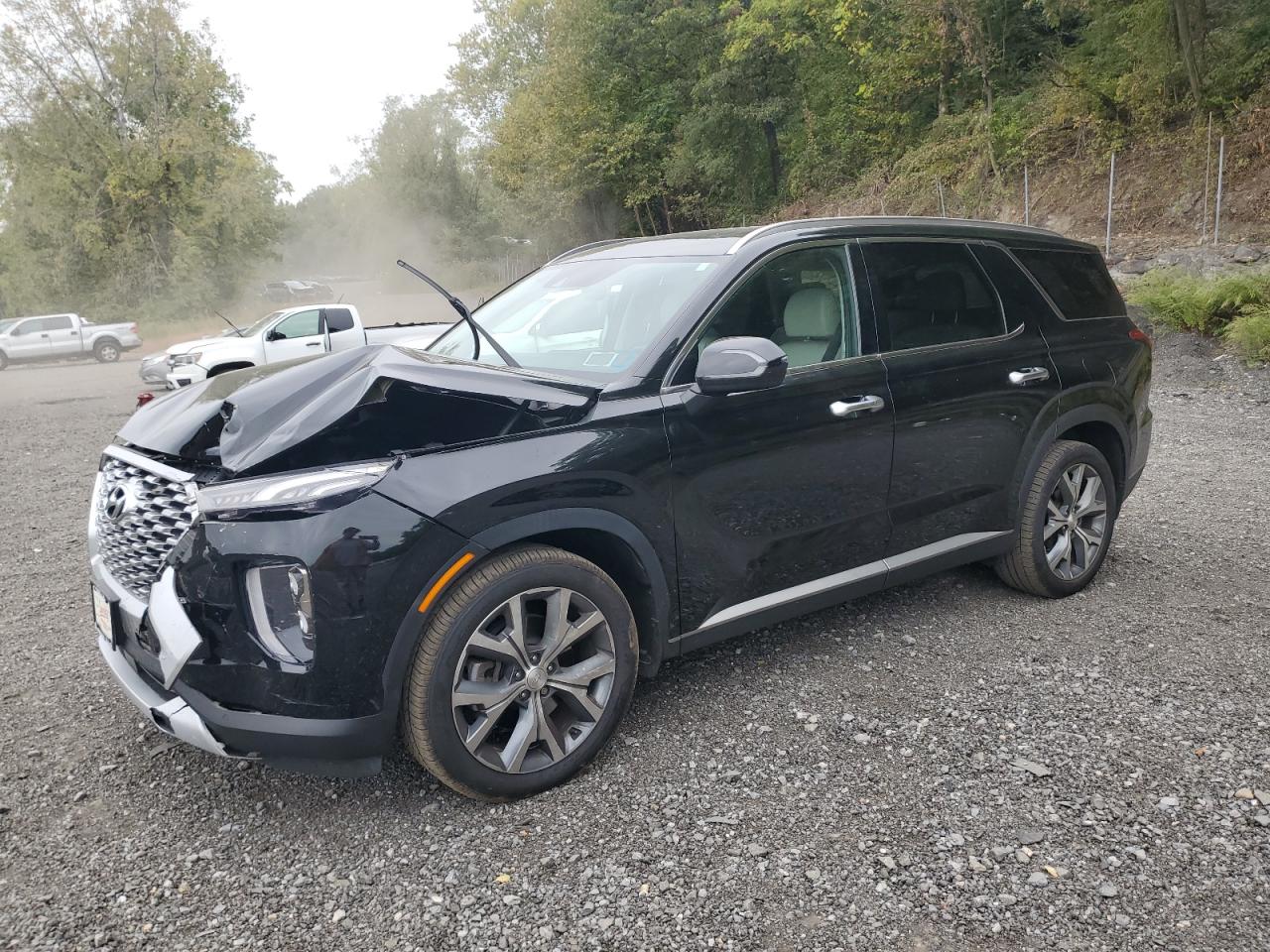 2021 Hyundai Palisade Sel