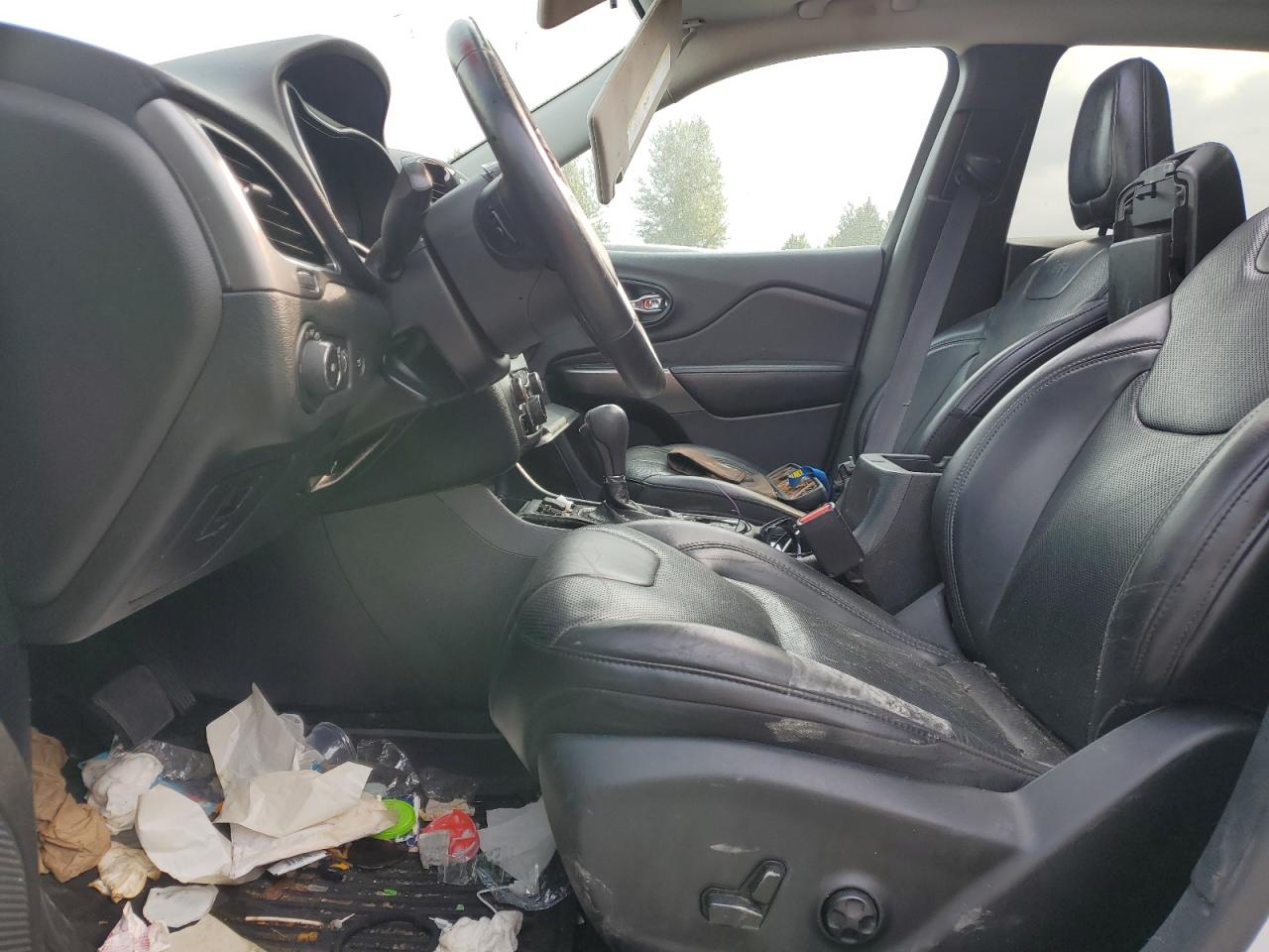 2019 Jeep Cherokee Limited VIN: 1C4PJMDN5KD254047 Lot: 71391585