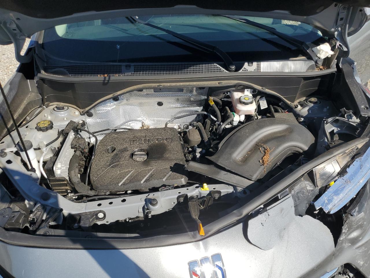 2025 Buick Encore Gx Sport Touring VIN: KL4AMDSLXSB070114 Lot: 85341615