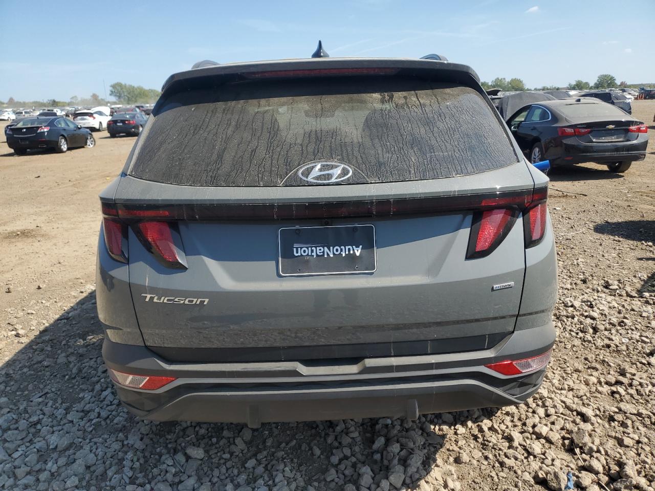 2024 Hyundai Tucson Sel VIN: 5NMJBCDE5RH360531 Lot: 81000415