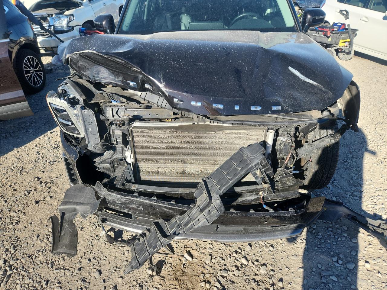 2021 Kia Telluride Sx VIN: 5XYP5DHC9MG114066 Lot: 81703675