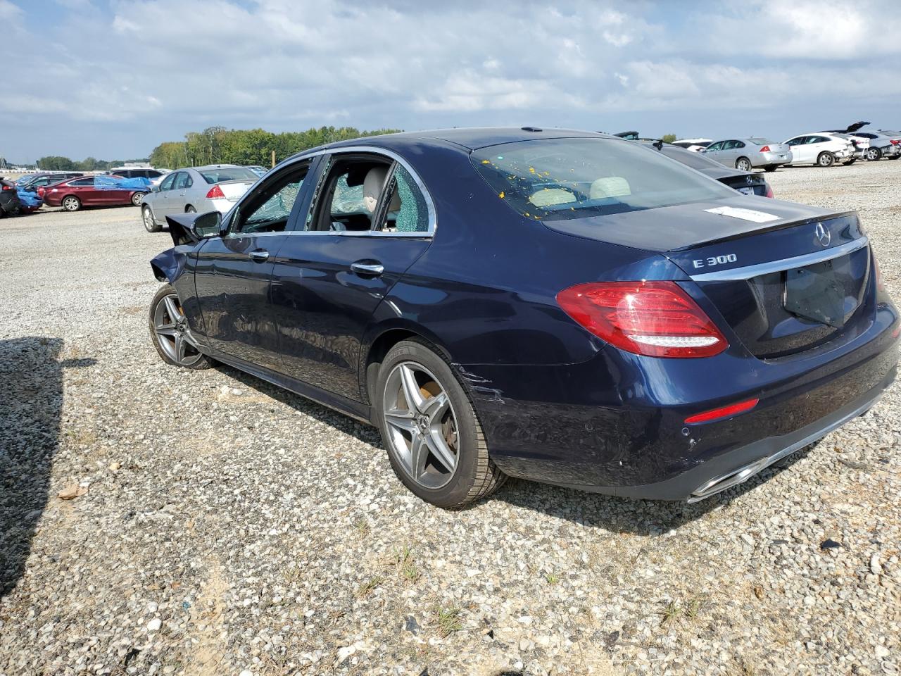 V (W213, S213, C238) V (W213, S213, C238)