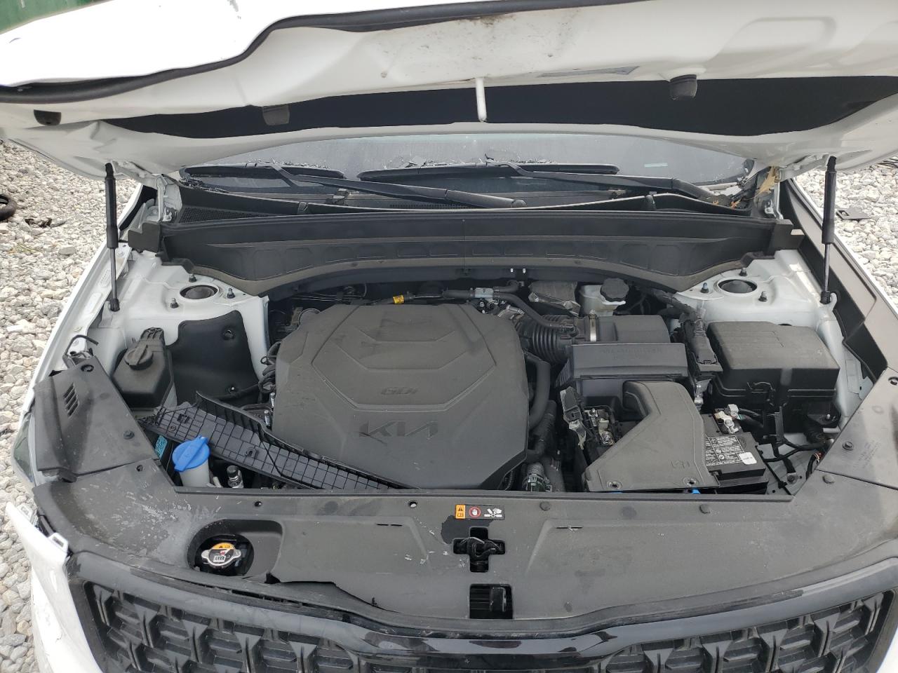 2024 Kia Telluride Sx VIN: 5XYP5DGC6RG549023 Lot: 81596325