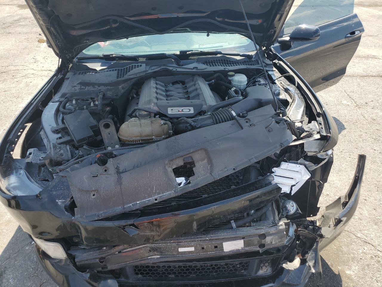 2015 Ford Mustang Gt VIN: 1FA6P8CF7F5366382 Lot: 80791525