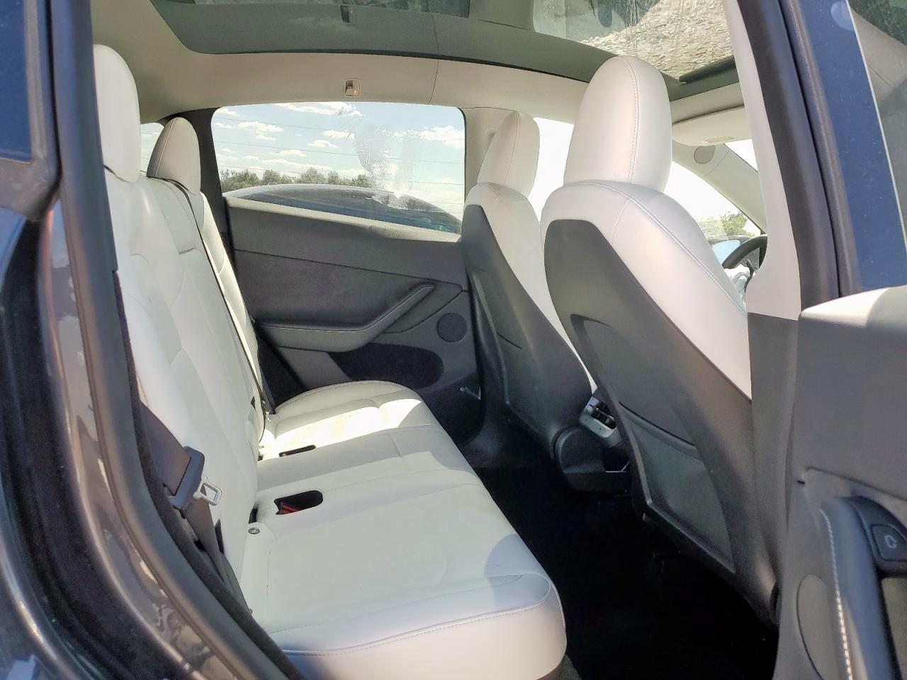 2024 Tesla Model Y VIN: 7SAYGDEE1RA231742 Lot: 81680985