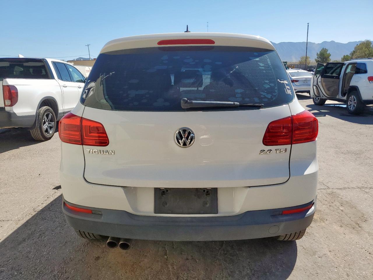2013 Volkswagen Tiguan S VIN: WVGAV7AX3DW501702 Lot: 71920155