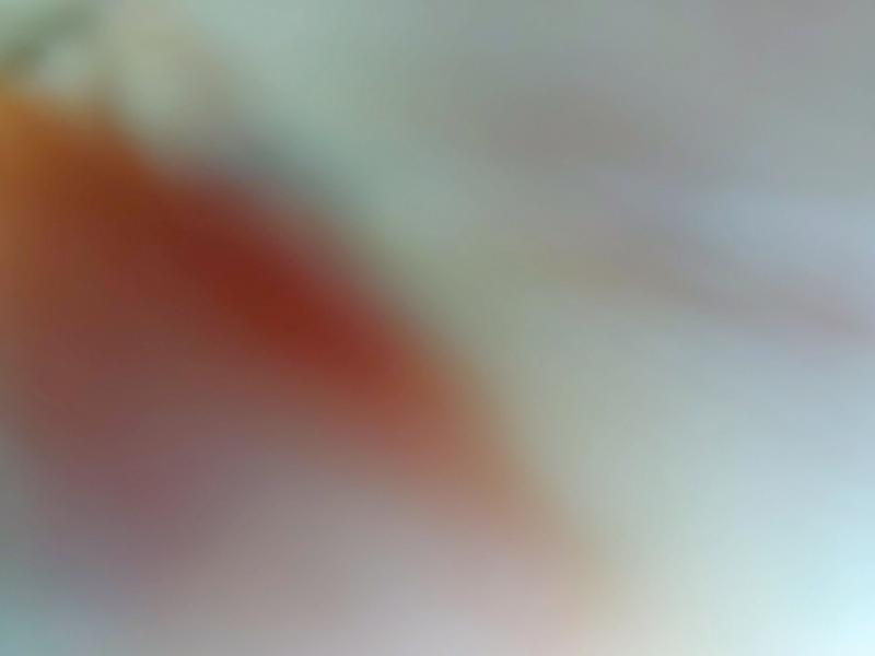 2015 KIA SPORTAGE 1.7 CRDI ISG 1 5DR