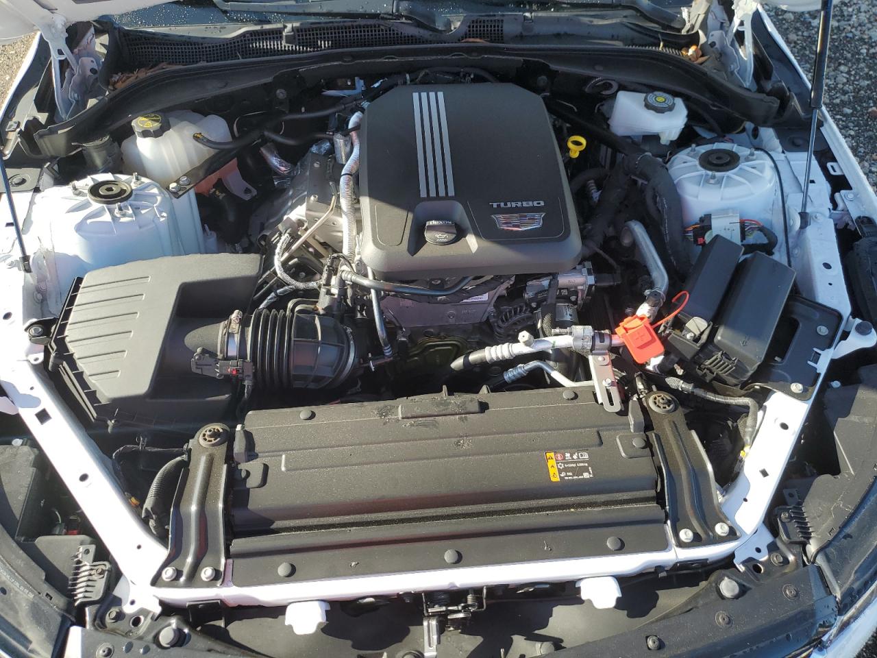 2024 Cadillac Ct4 Luxury VIN: 1G6DA5RK7R0131121 Lot: 81736745