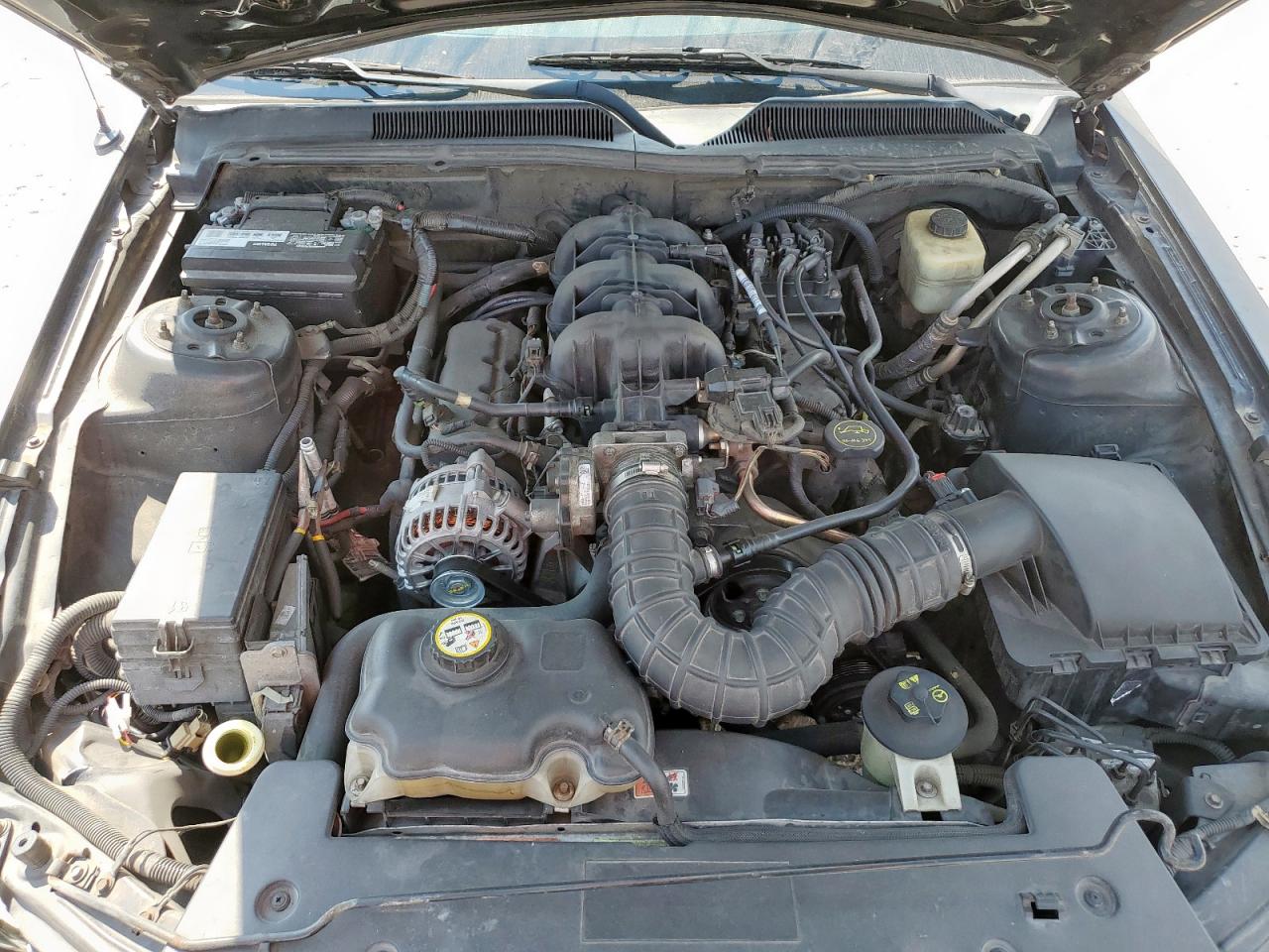 2008 Ford Mustang VIN: 1ZVHT80N785108261 Lot: 80495195
