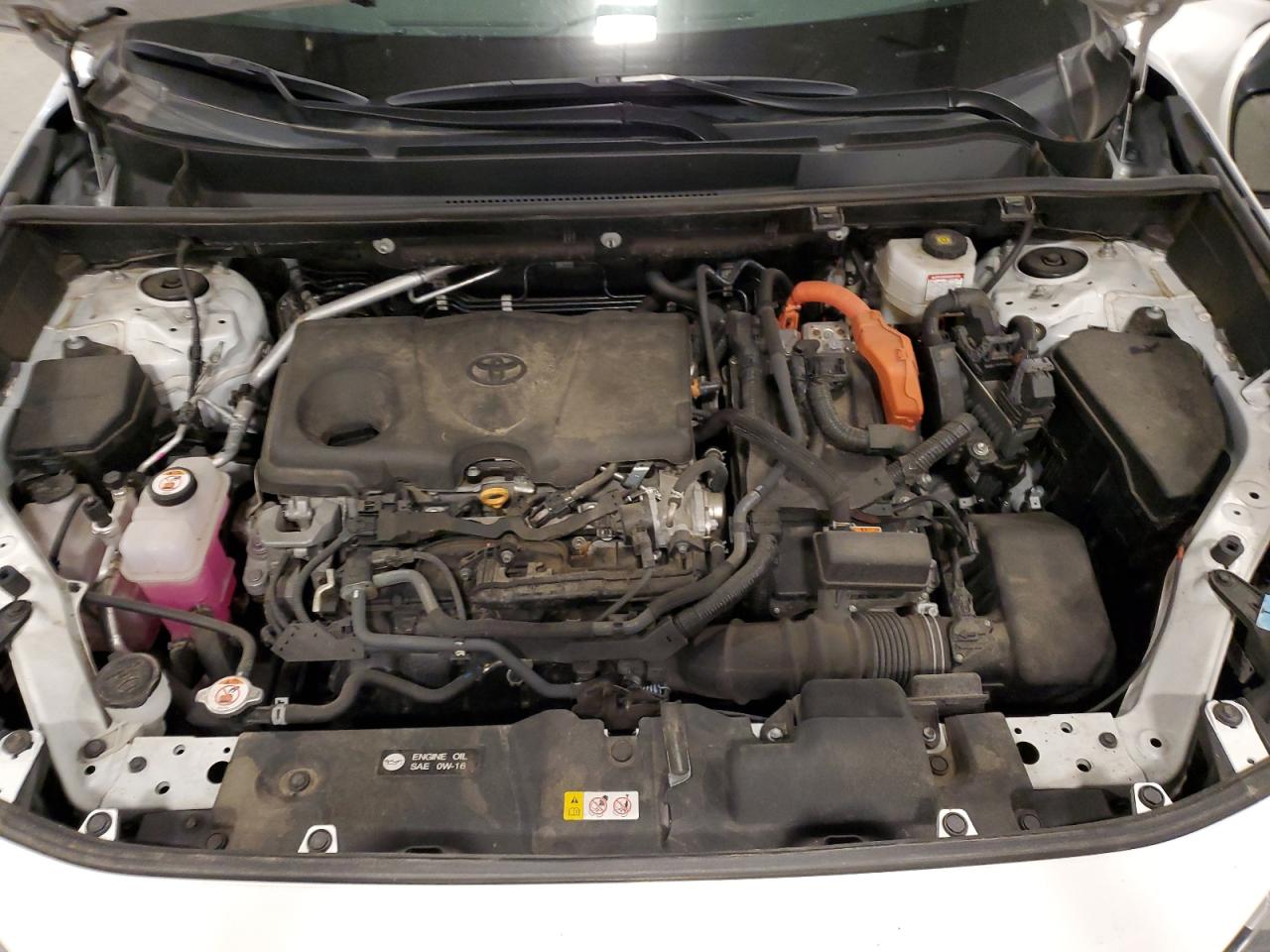 2022 Toyota Rav4 Xle VIN: 4T3RWRFV2NU077520 Lot: 81716665