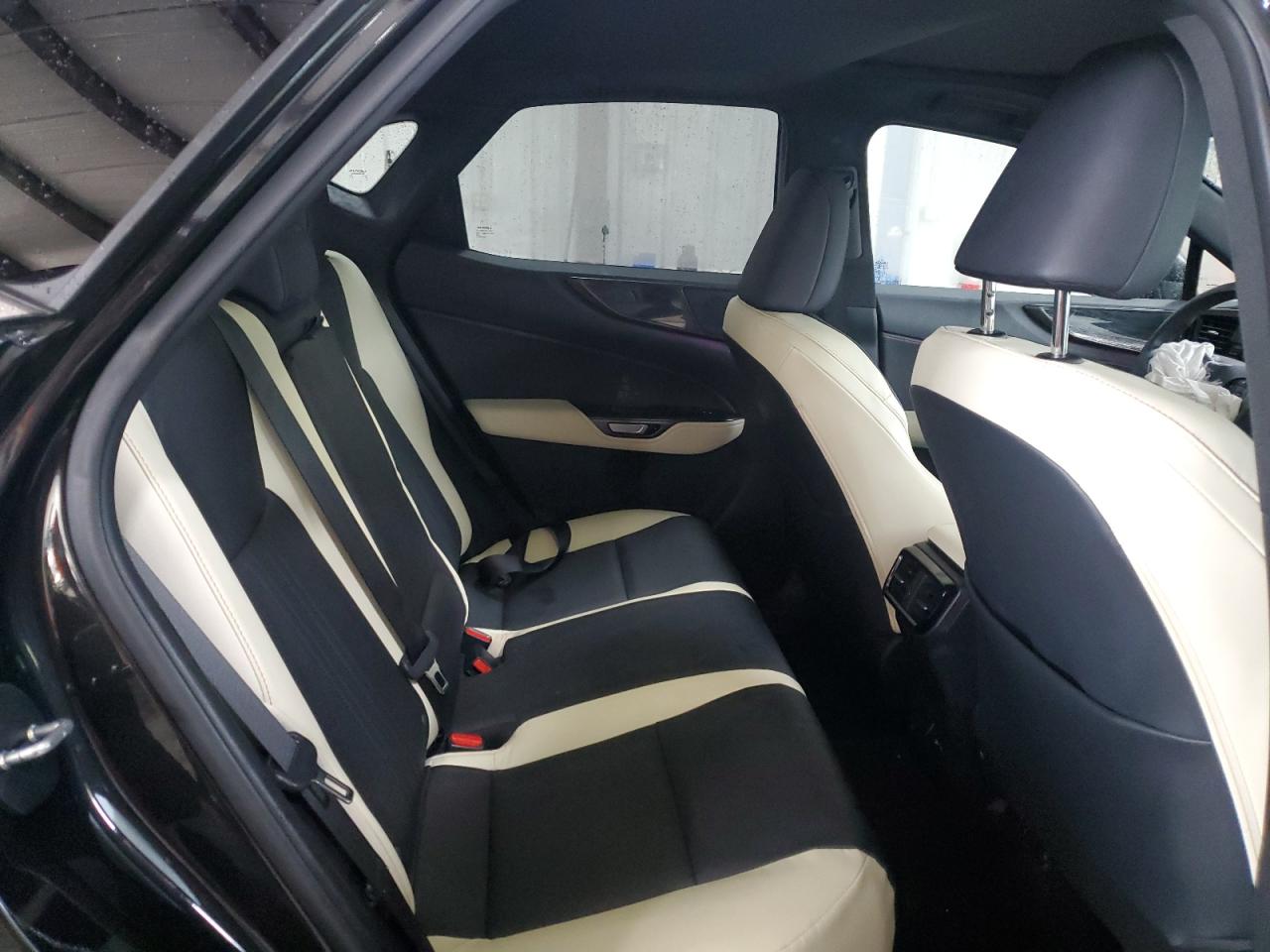 2023 Lexus Nx 350 VIN: 2T2GGCEZ4PC031492 Lot: 81847545