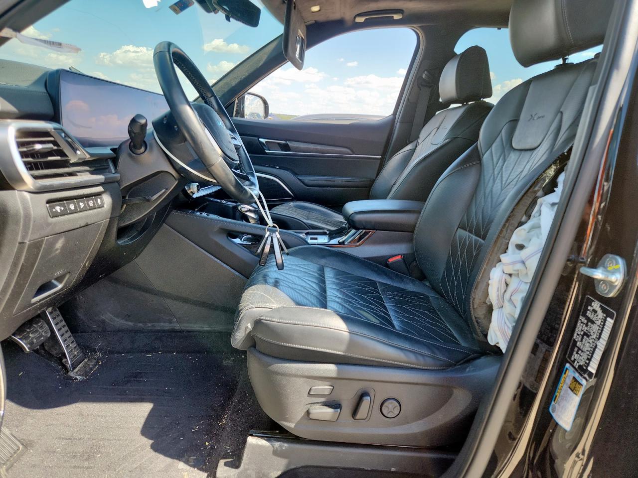 2023 Kia Telluride Sx VIN: 5XYP5DGC3PG324779 Lot: 81826975