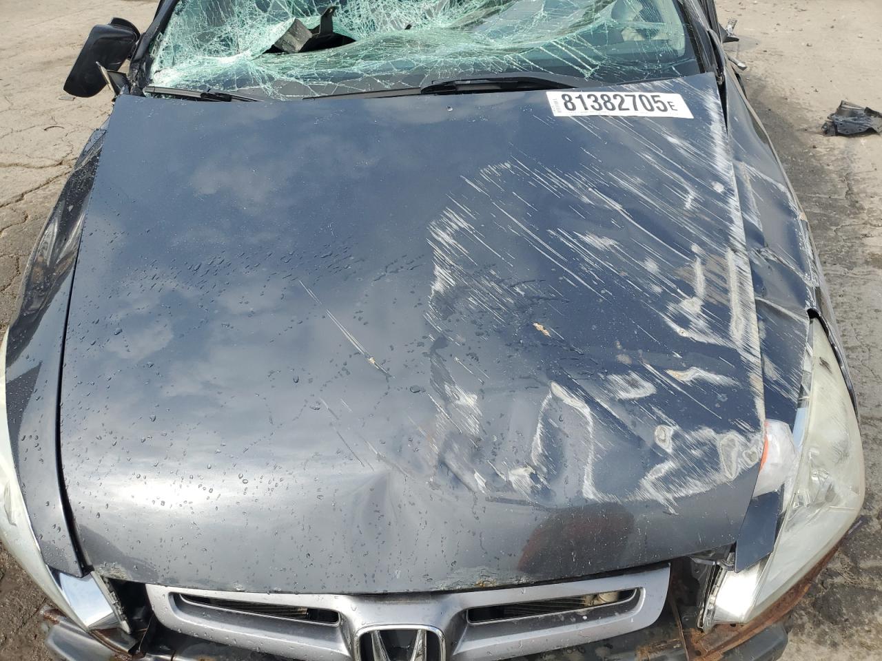 2005 Honda Accord Lx VIN: 1HGCM564X5A012698 Lot: 81382705