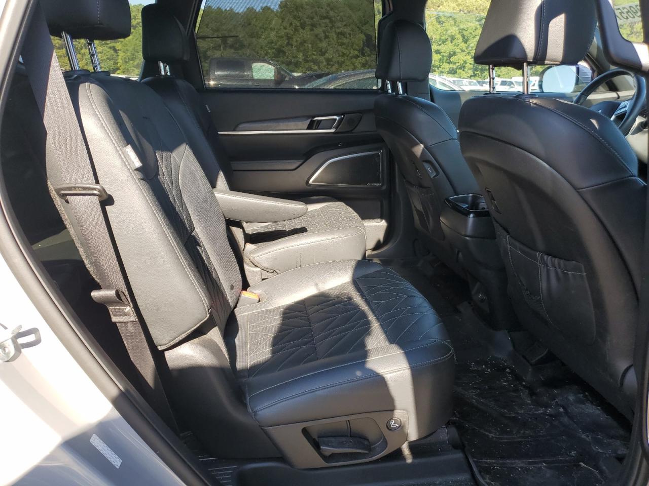 2024 Kia Telluride Sx VIN: 5XYP5DGC7RG452221 Lot: 71996575