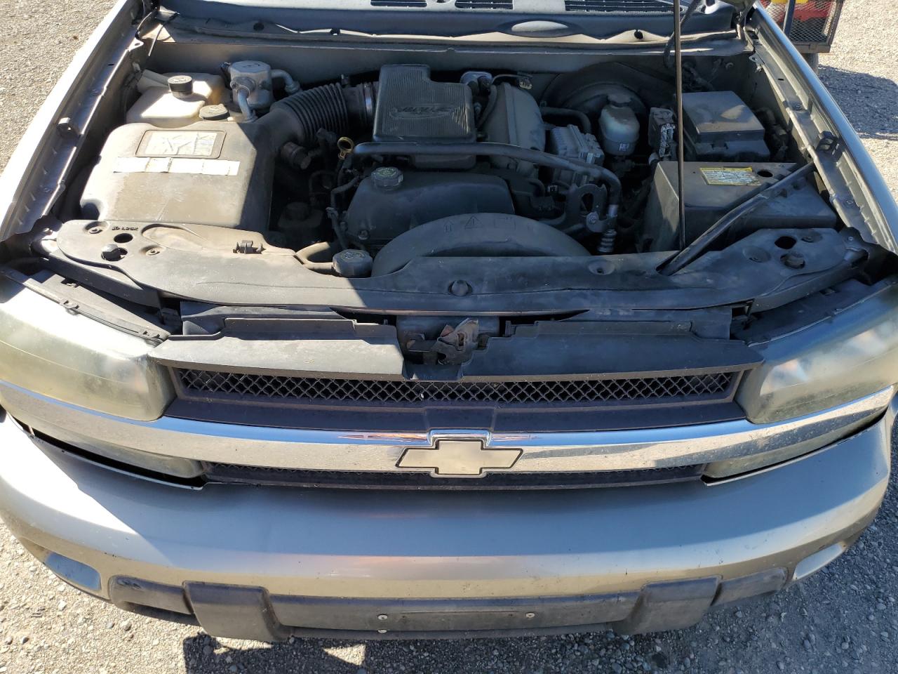 2002 Chevrolet Trailblazer VIN: 1GNDS13S922163470 Lot: 80764705