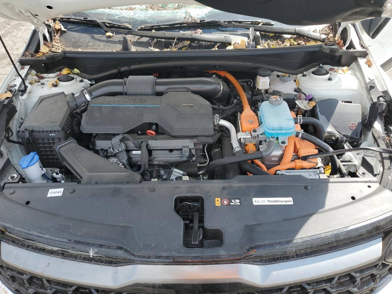 2024 Kia Sportage X-Line Prestige VIN: KNDPZDDH6R7157774 Lot: 72099215