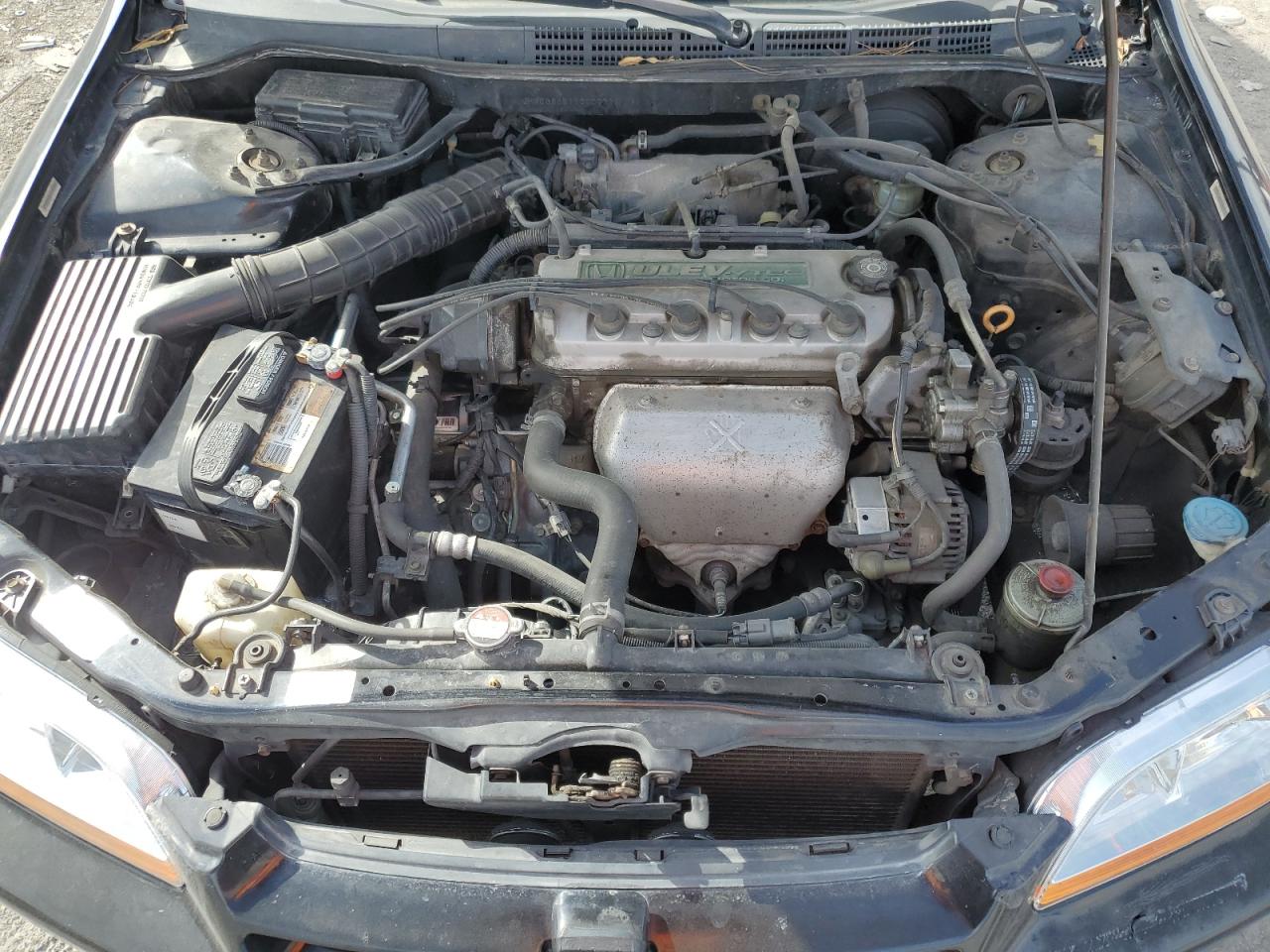 2000 Honda Accord Lx VIN: JHMCG6651YC007711 Lot: 80759685