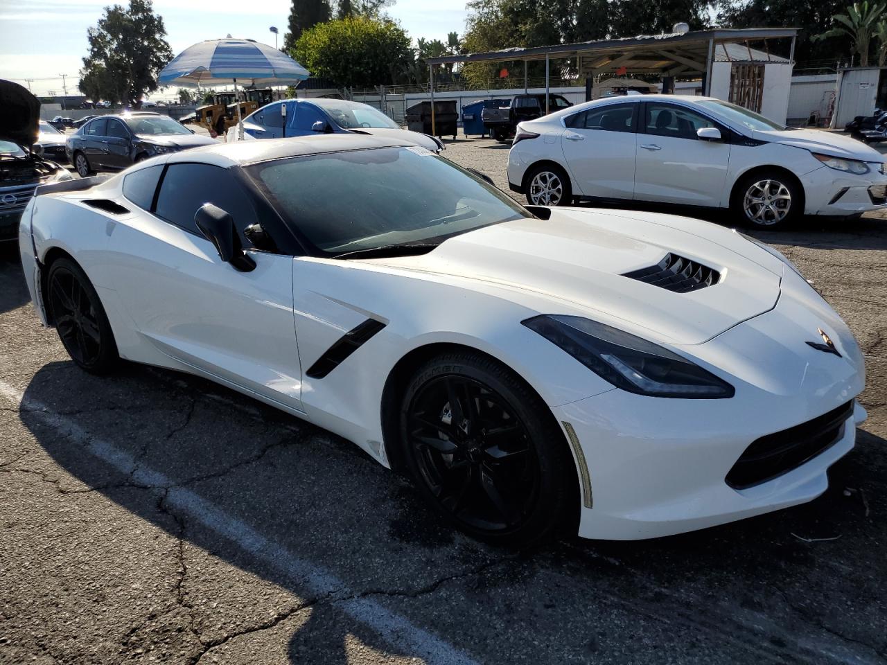 C7 C7