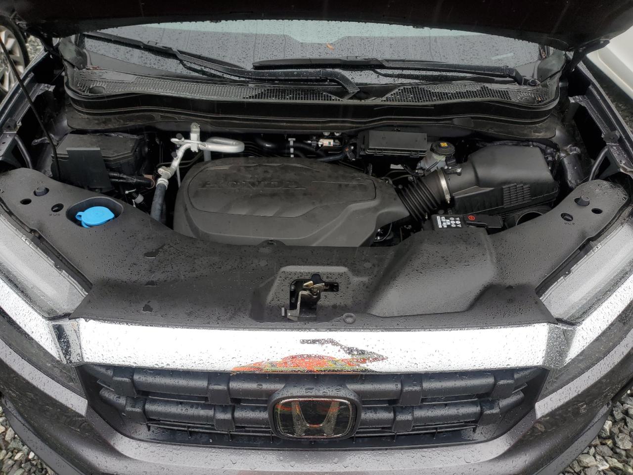 2024 Honda Ridgeline Rtl VIN: 5FPYK3F57RB015649 Lot: 81700955
