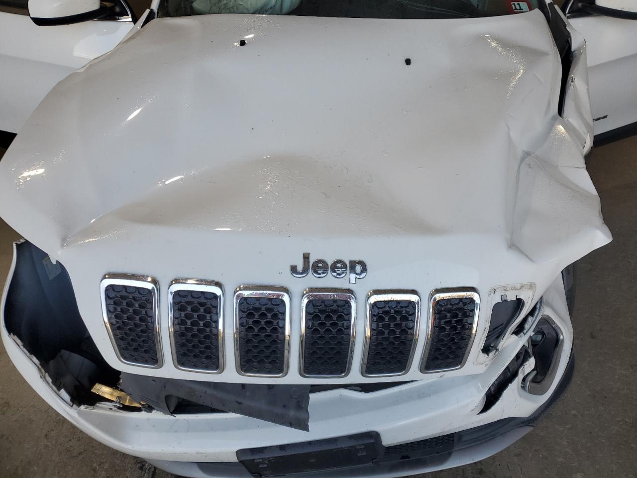 2020 Jeep Cherokee Limited VIN: 1C4PJMDX4LD509628 Lot: 81595415