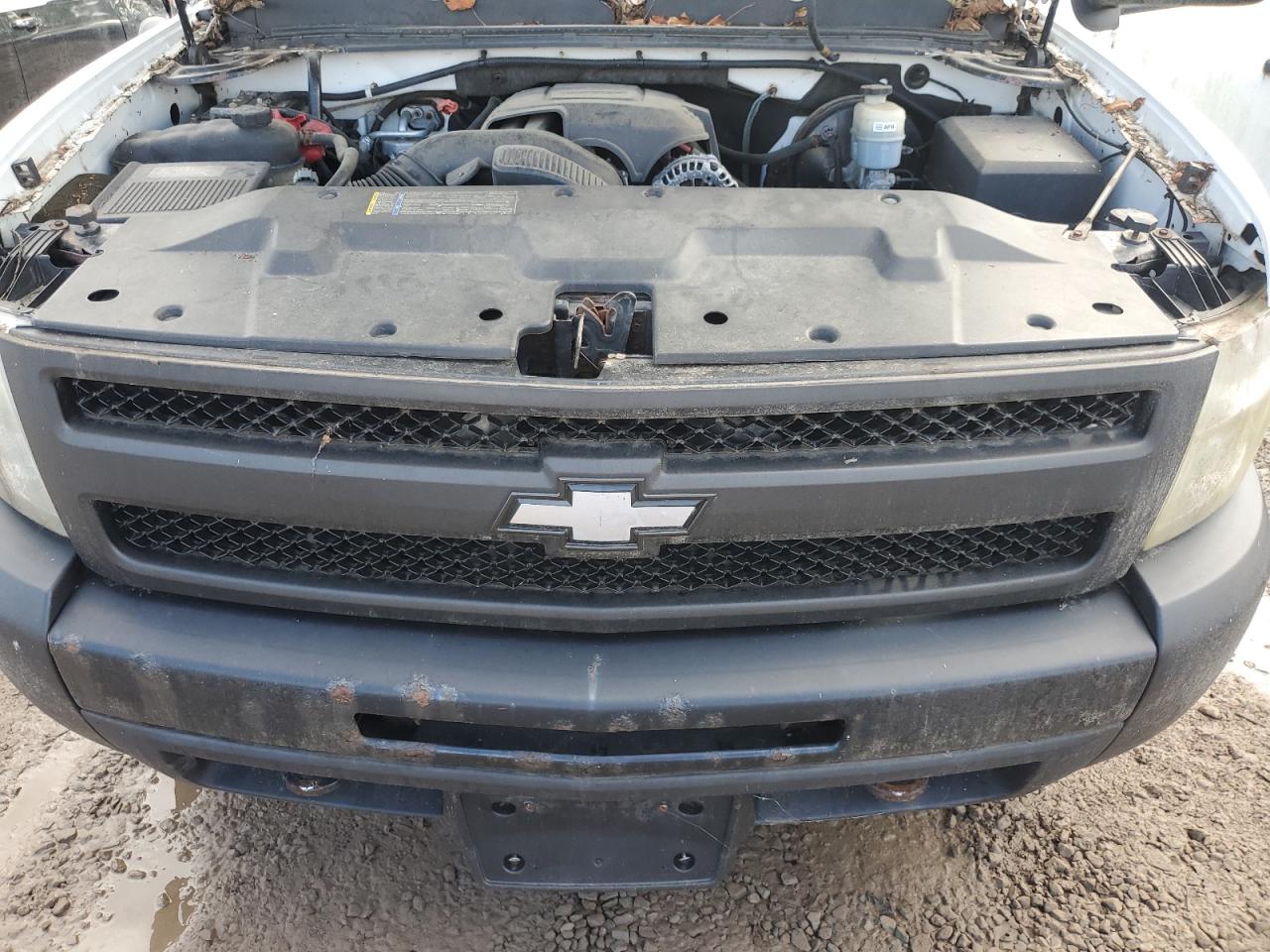 2010 Chevrolet Silverado K1500 VIN: 1GCPKPEA0AZ261662 Lot: 81443995