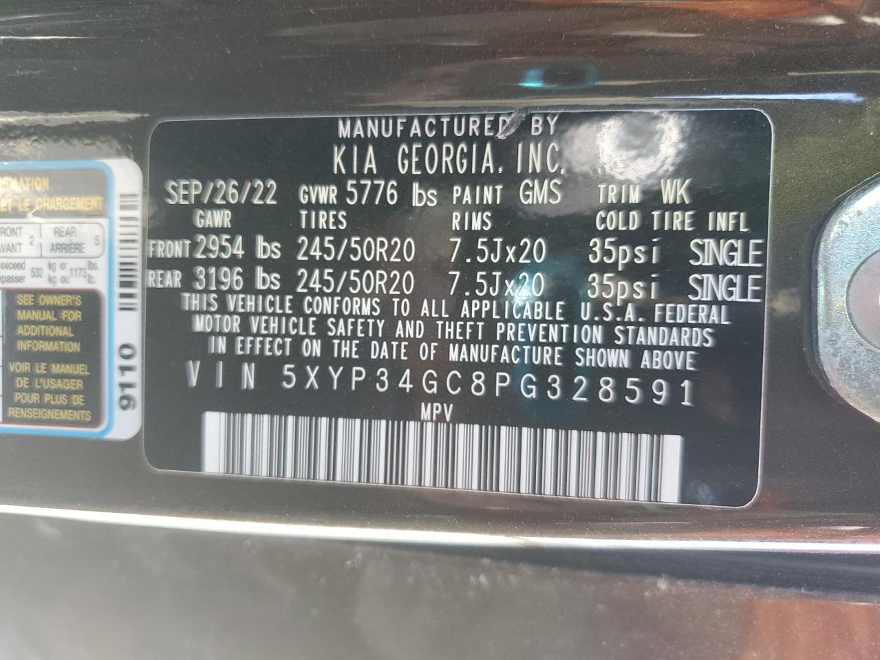 2023 Kia Telluride Ex VIN: 5XYP34GC8PG328591 Lot: 80225765