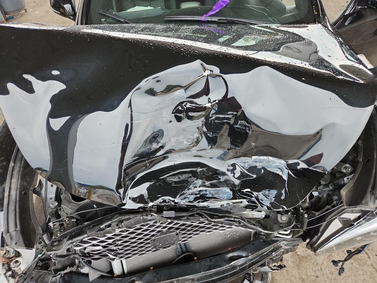 2019 Infiniti Q70 3.7 Luxe VIN: JN1BY1AR0KM585293 Lot: 81638225