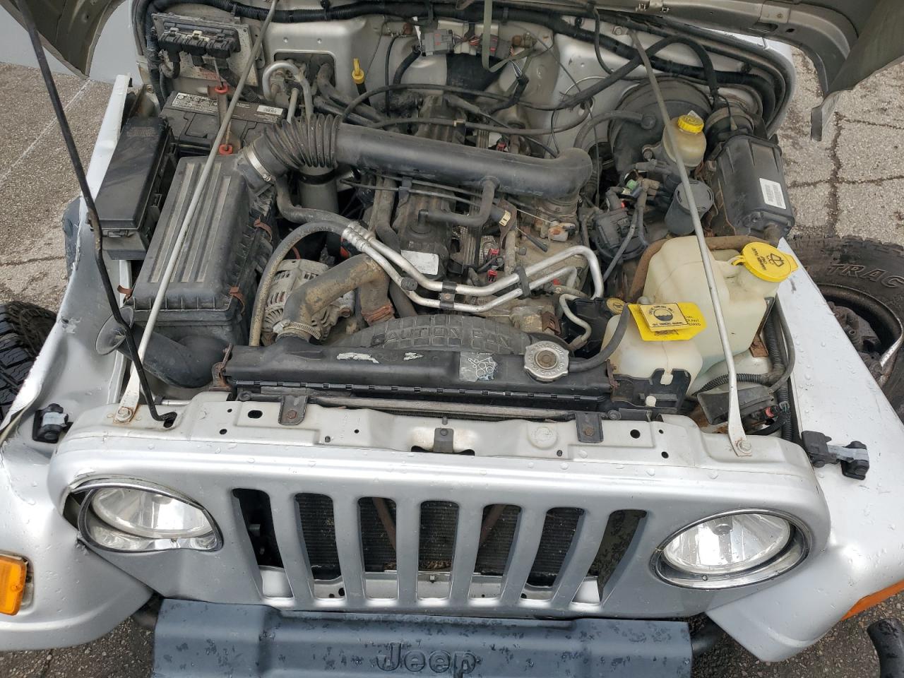 2002 Jeep Wrangler / Tj X VIN: 1J4FA39S22P751313 Lot: 82098325