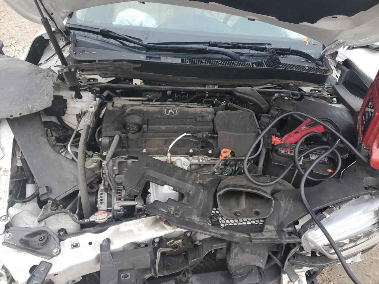 2020 Acura Tlx VIN: 19UUB1F31LA008045 Lot: 81567375