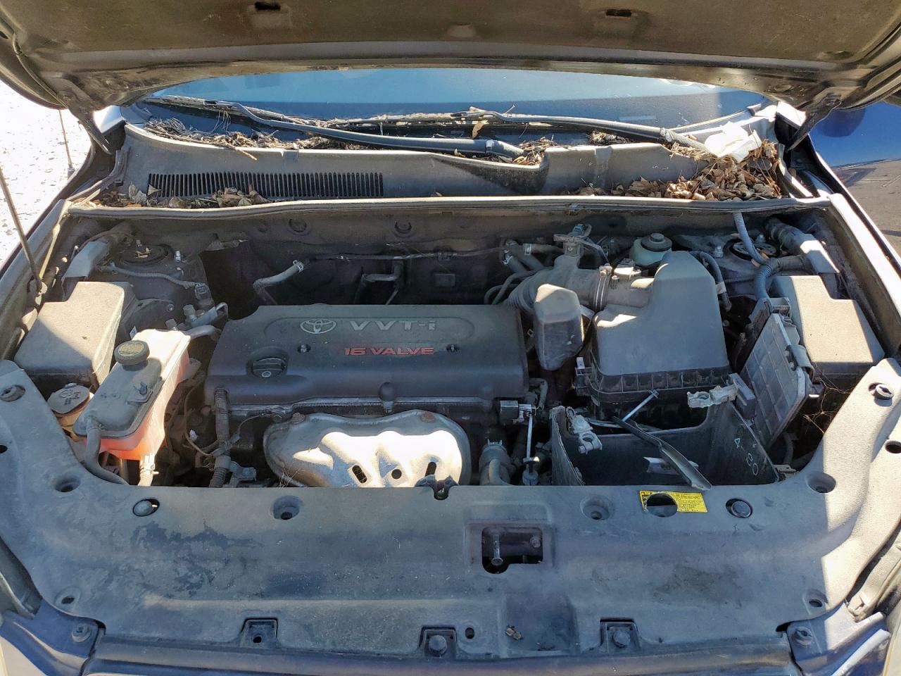 2007 Toyota Rav4 Limited VIN: JTMZD31V976031679 Lot: 81810645