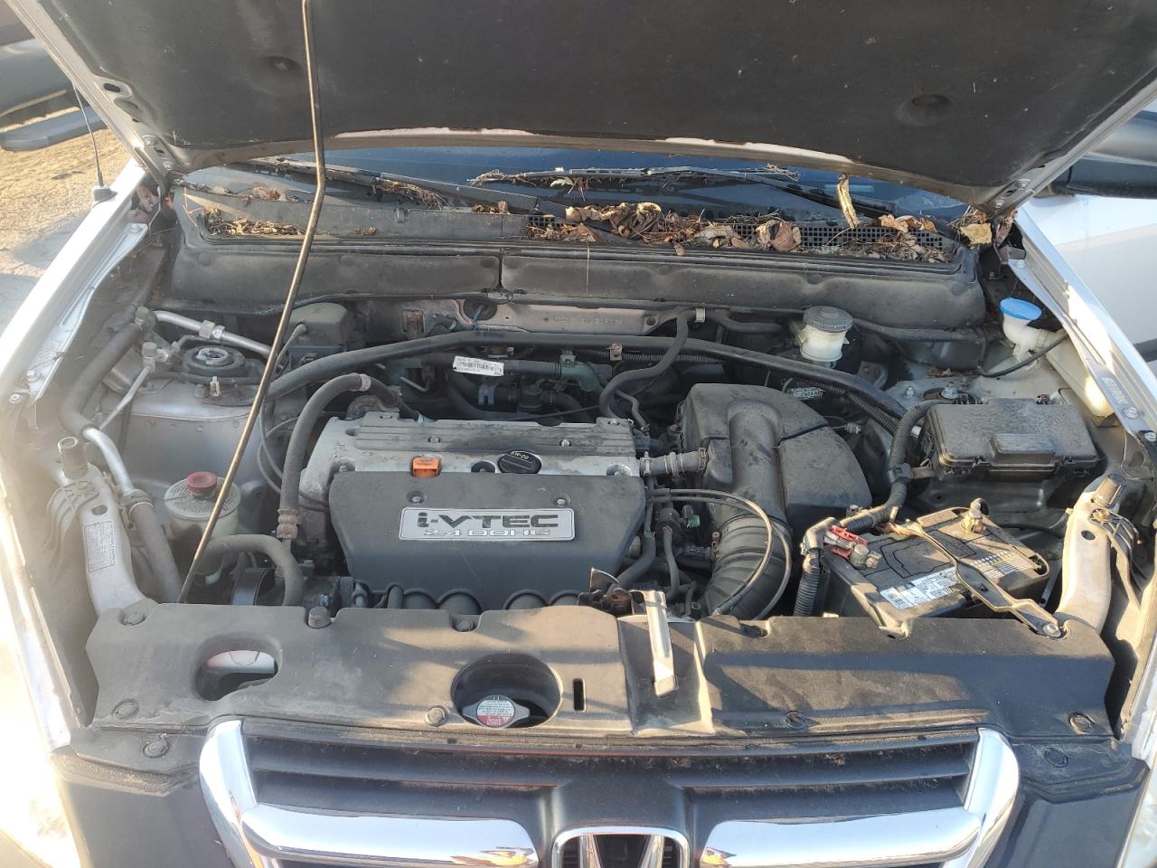 2004 Honda Cr-V Lx VIN: SHSRD78484U239033 Lot: 81153955