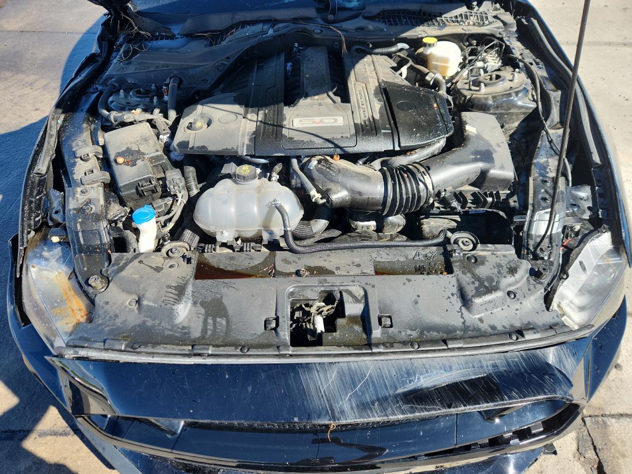 2022 Ford Mustang Gt VIN: 1FA6P8CF9N5145610 Lot: 84439525