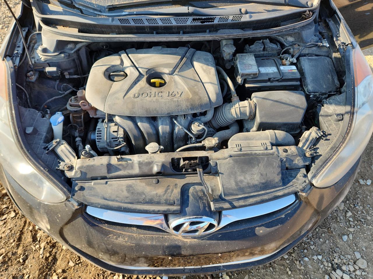 2013 Hyundai Elantra Gls VIN: 5NPDH4AE5DH307300 Lot: 81010135