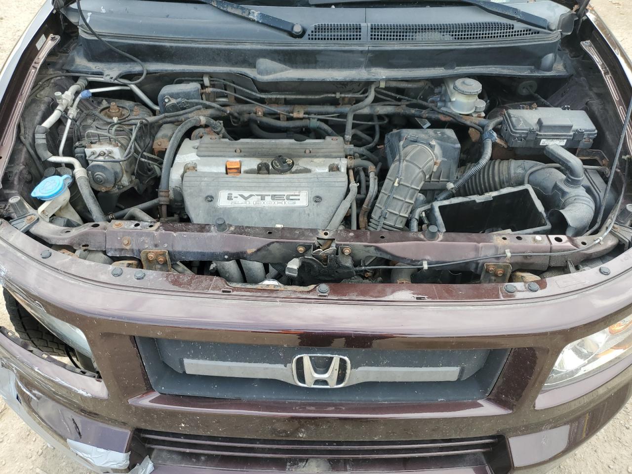 2007 Honda Element Sc VIN: 5J6YH17987L800585 Lot: 82168335