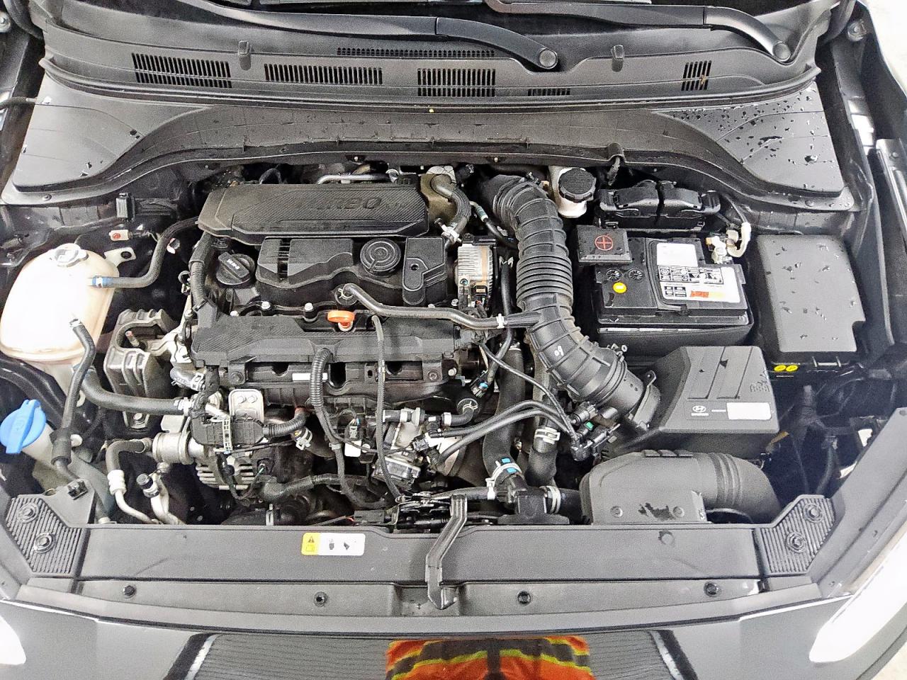 2022 Hyundai Kona N Line VIN: KM8K33A39NU756318 Lot: 81682325