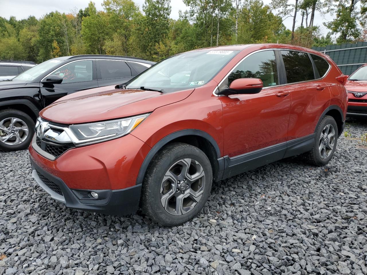 2019 Honda Cr-V Ex VIN: 2HKRW2H51KH642525 Lot: 81579885