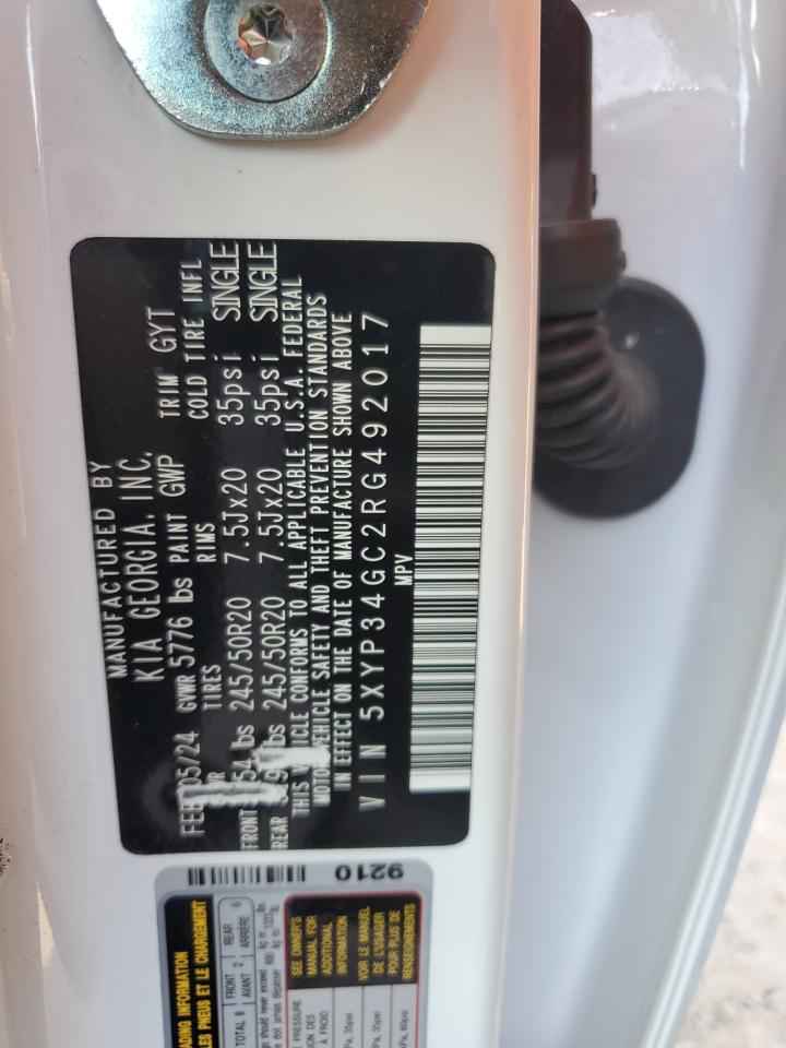 2024 Kia Telluride Ex VIN: 5XYP34GC2RG492017 Lot: 81126885