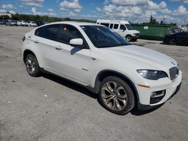 Parquets BMW X6 2013 Biały
