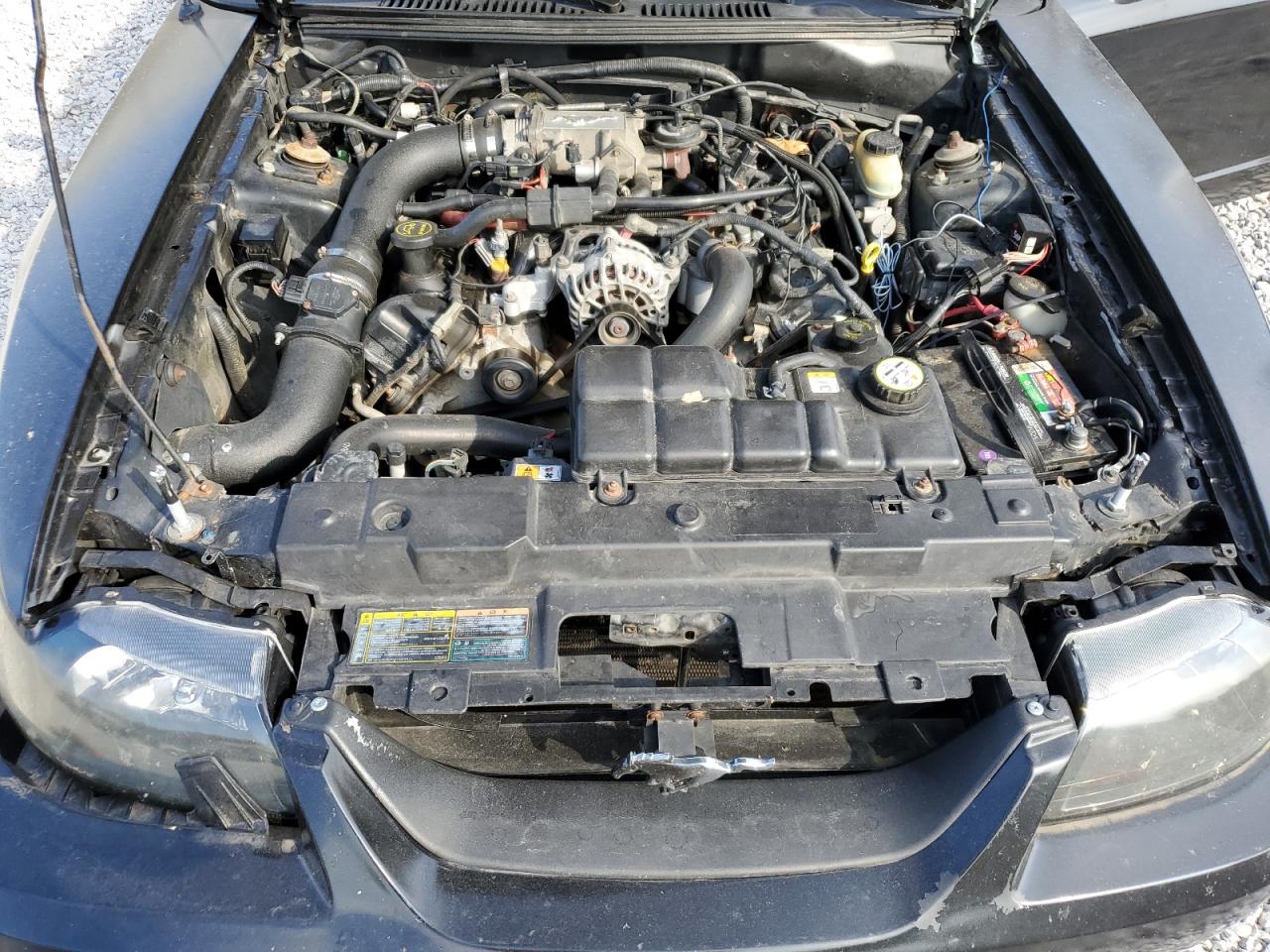 2002 Ford Mustang Gt VIN: 1FAFP45X62F152941 Lot: 80500535