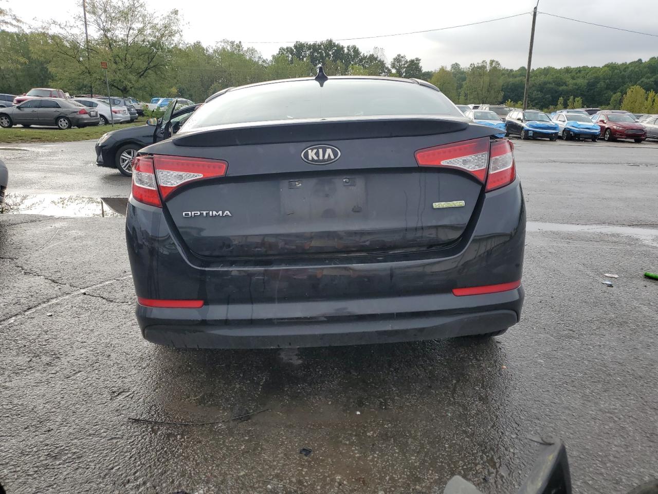 2013 Kia Optima Hybrid VIN: KNAGM4AD7D5059564 Lot: 82145875