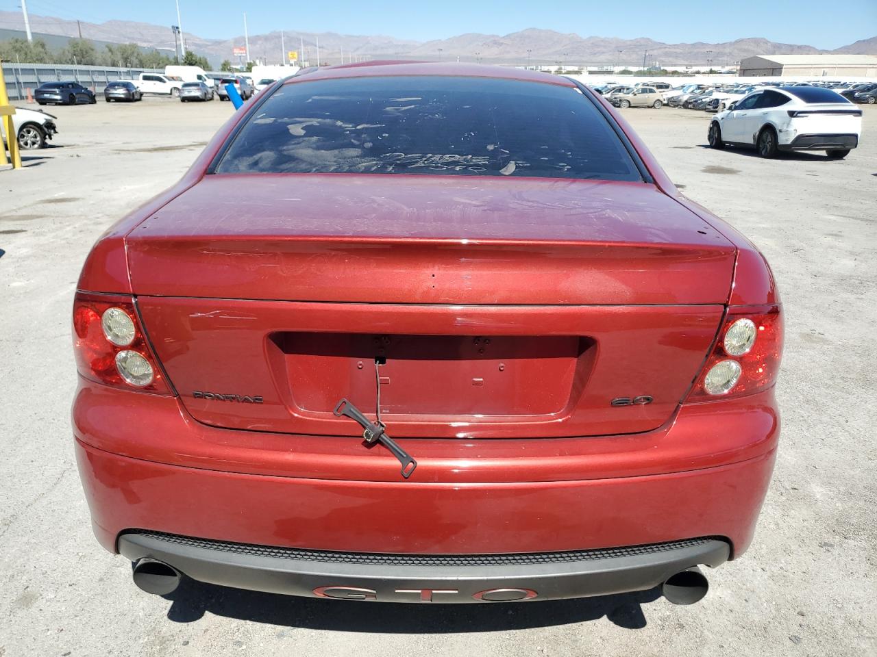 2006 Pontiac Gto VIN: 6G2VX12U66L557341 Lot: 82146525